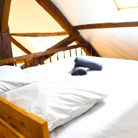 Apartment Loft En Plein Centre *
