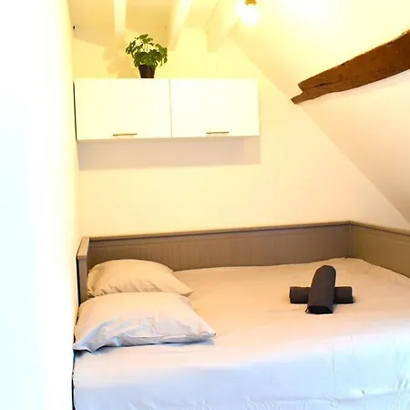 Loft En Plein Centre Apartment *