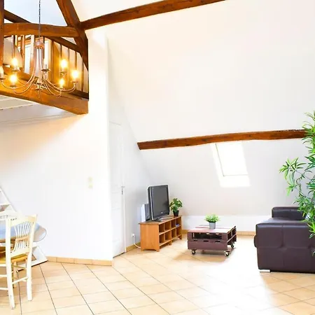 Loft En Plein Centre Apartment